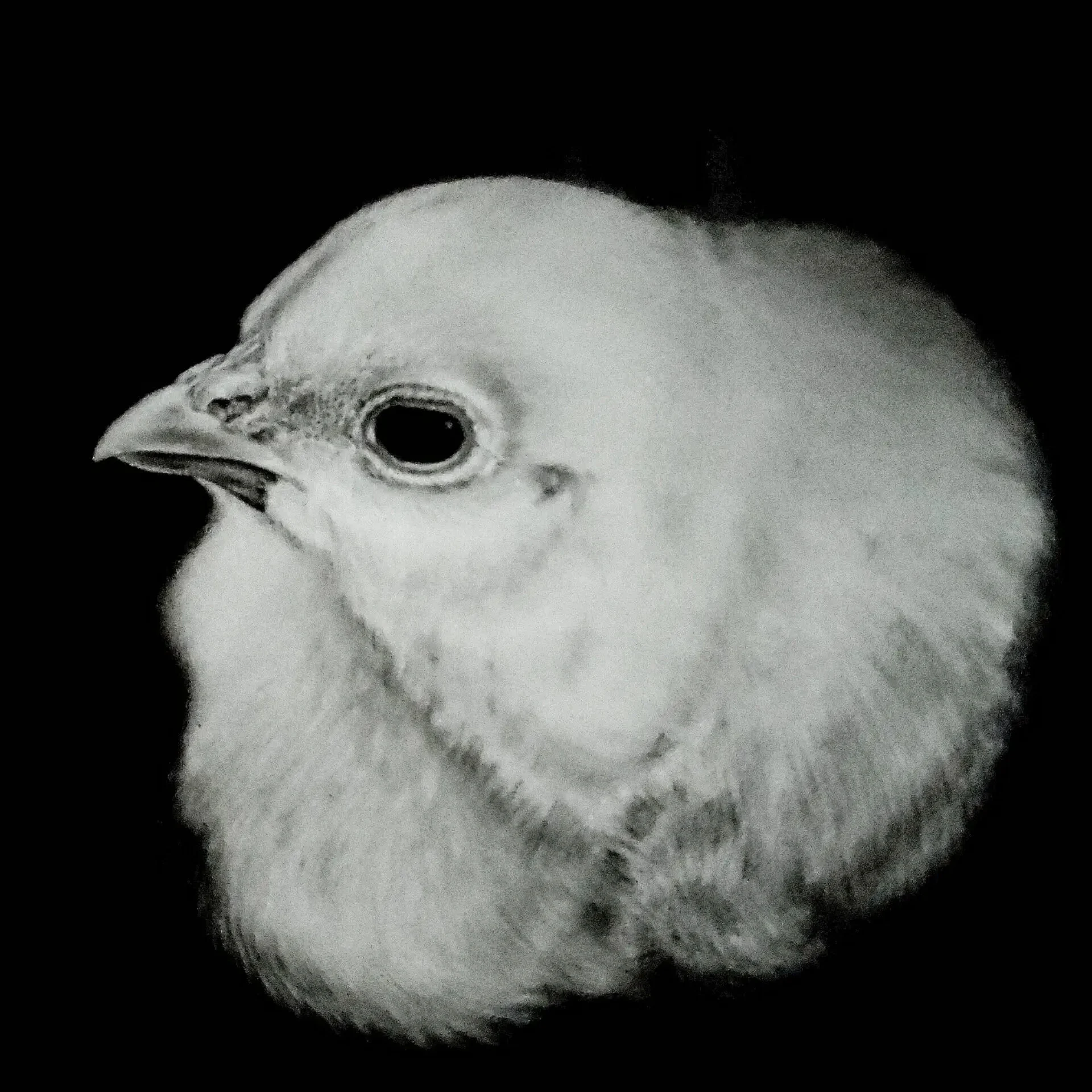 Desenho 2